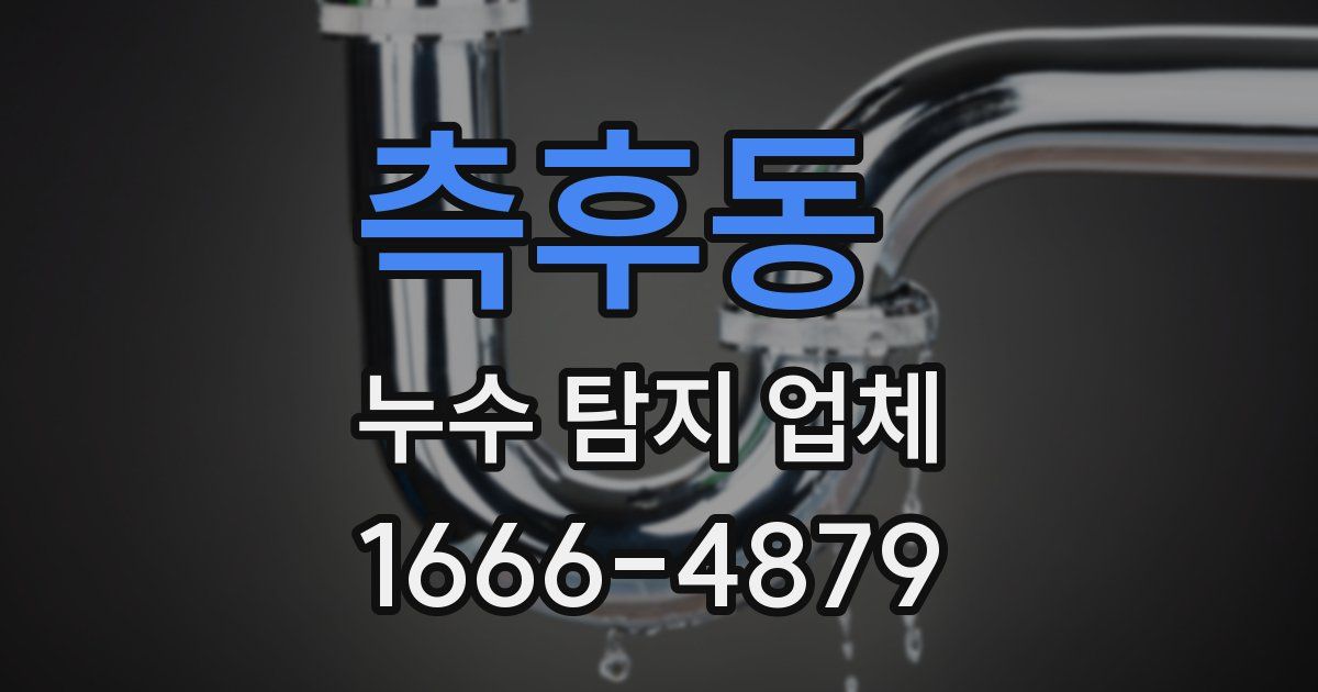 측후동 누수 탐지 업체