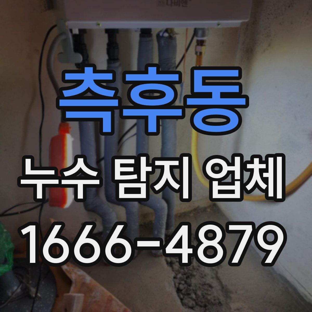 측후동 누수 탐지 업체