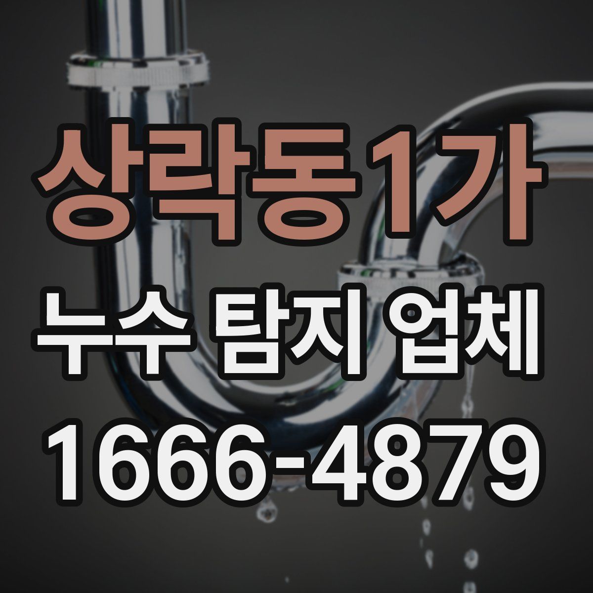 상락동1가 누수 탐지 업체