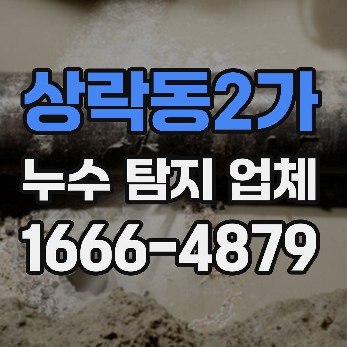 상락동2가 누수 탐지 업체
