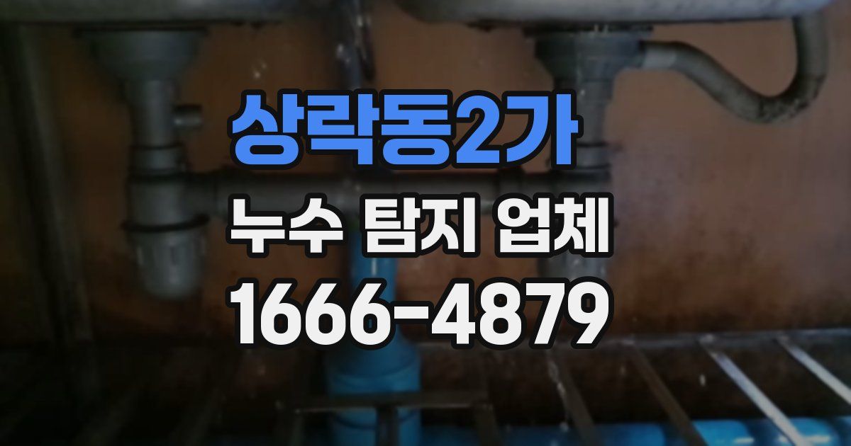 상락동2가 누수 탐지 업체
