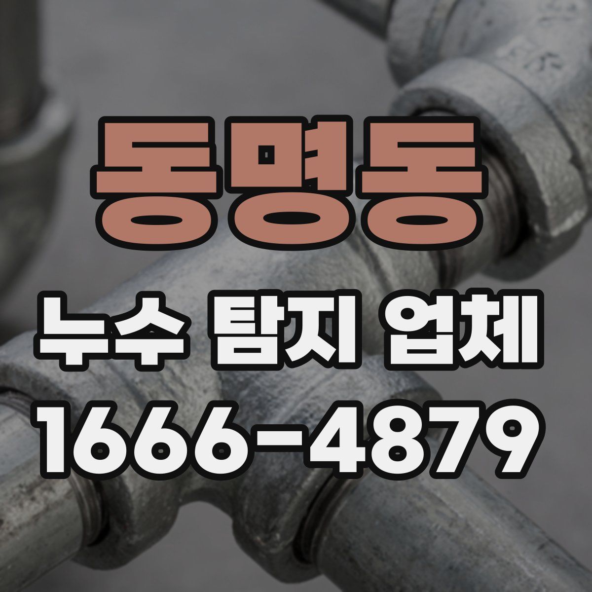 동명동 누수 탐지 업체