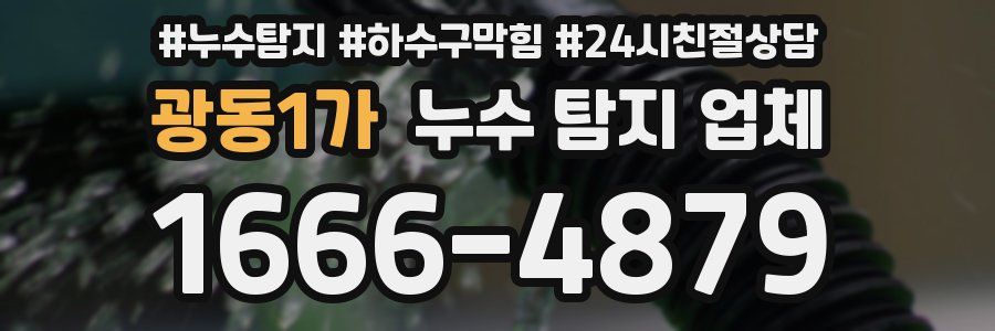 광동1가 누수 탐지 업체