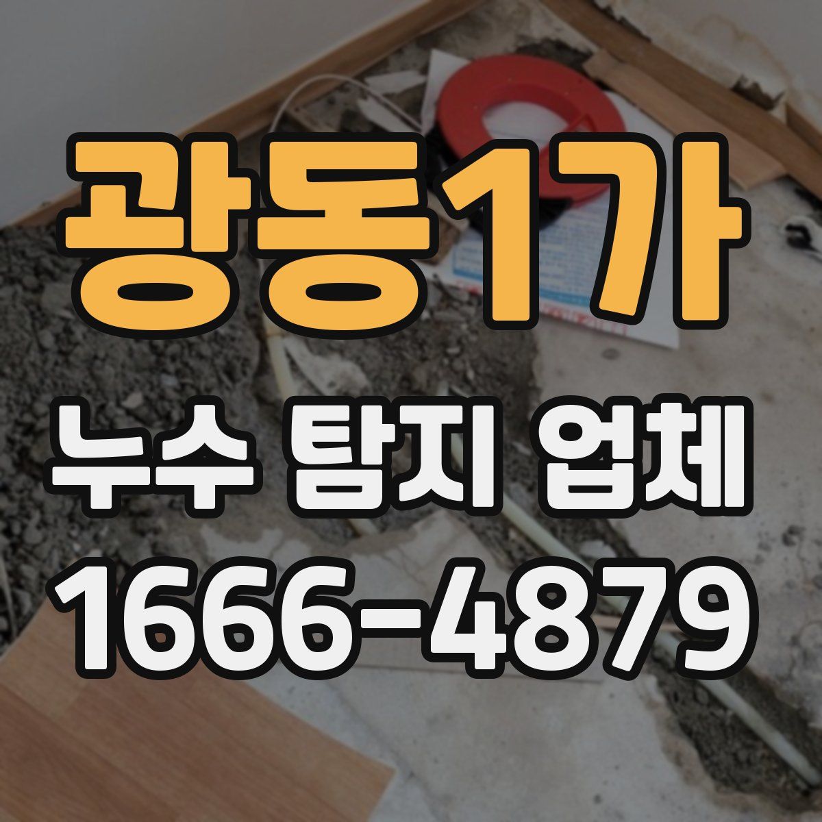 광동1가 누수 탐지 업체