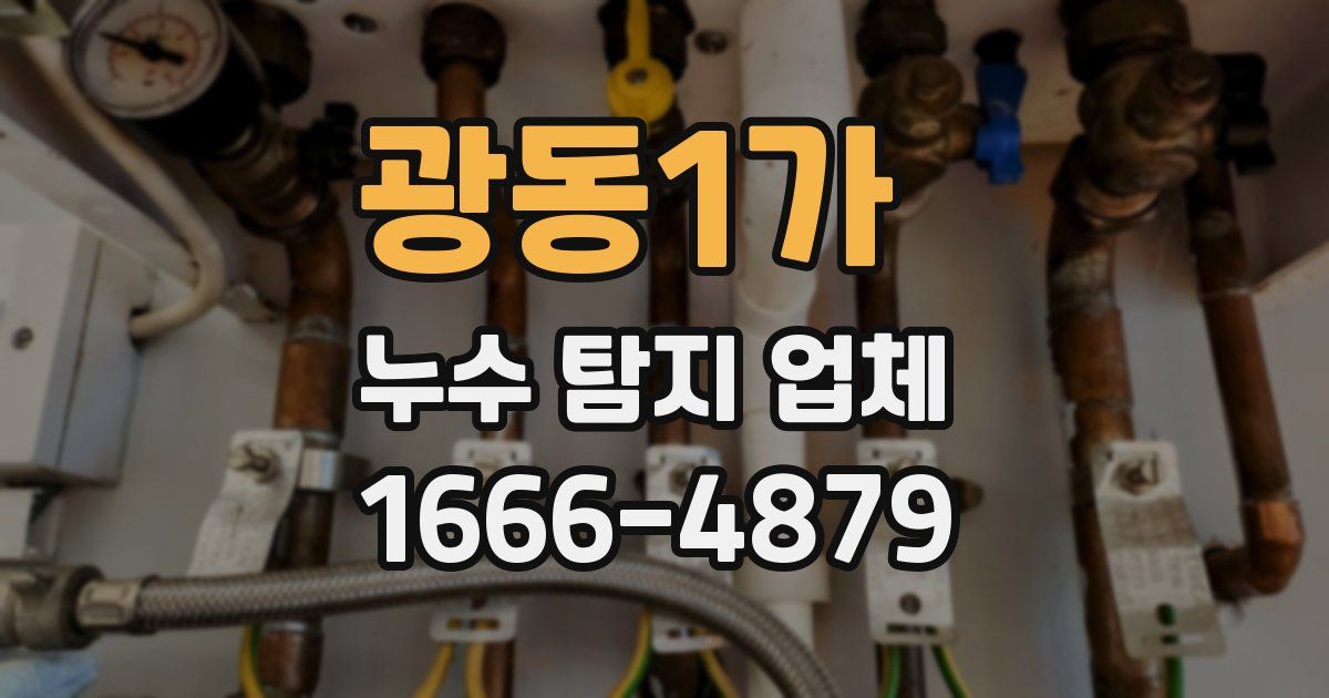 광동1가 누수 탐지 업체