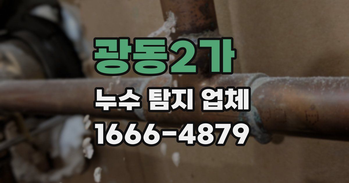 광동2가 누수 탐지 업체