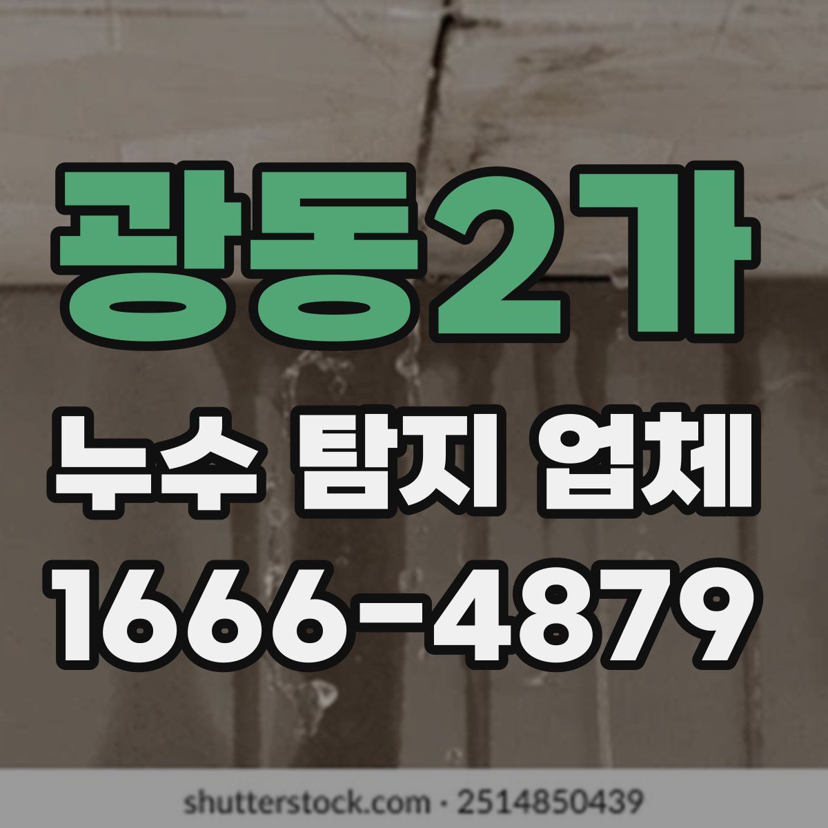 광동2가 누수 탐지 업체