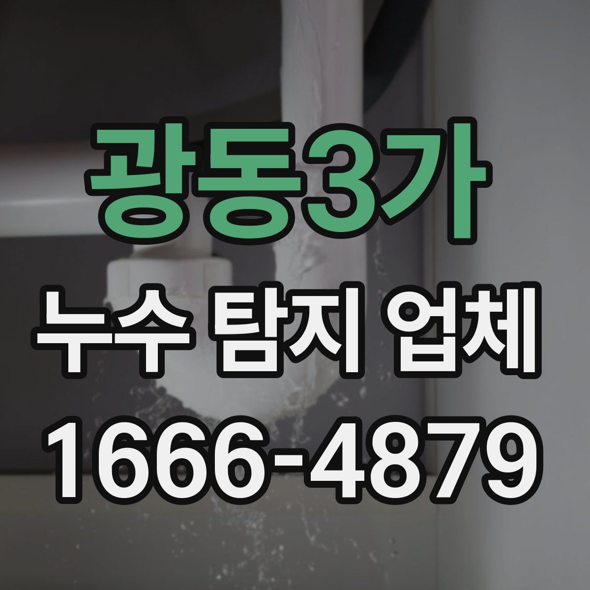 광동3가 누수 탐지 업체