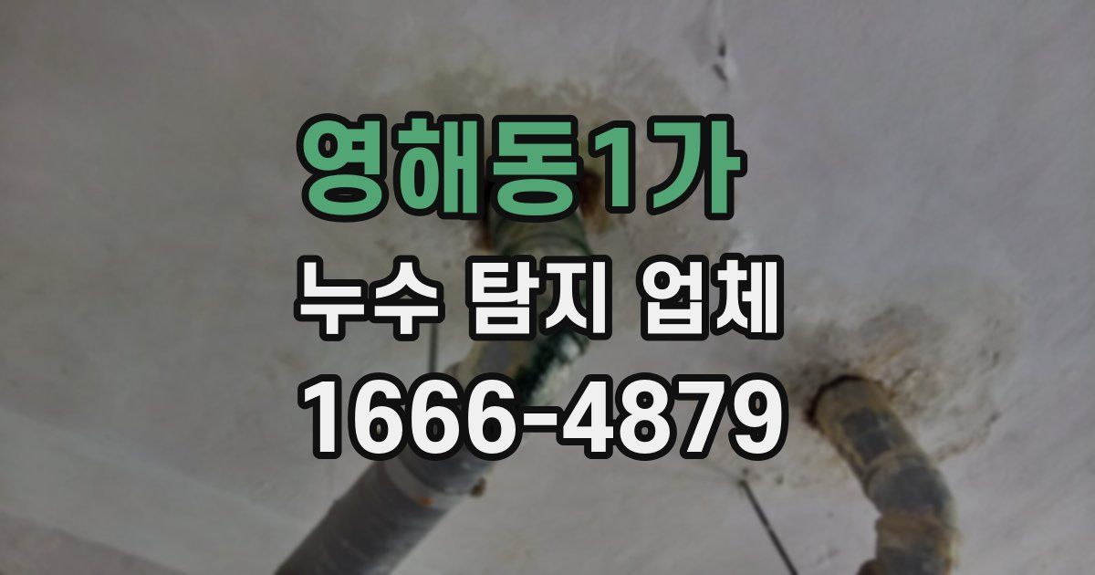영해동1가 누수 탐지 업체