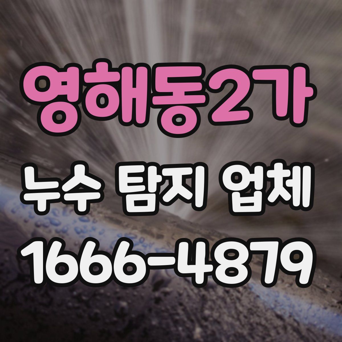 영해동2가 누수 탐지 업체