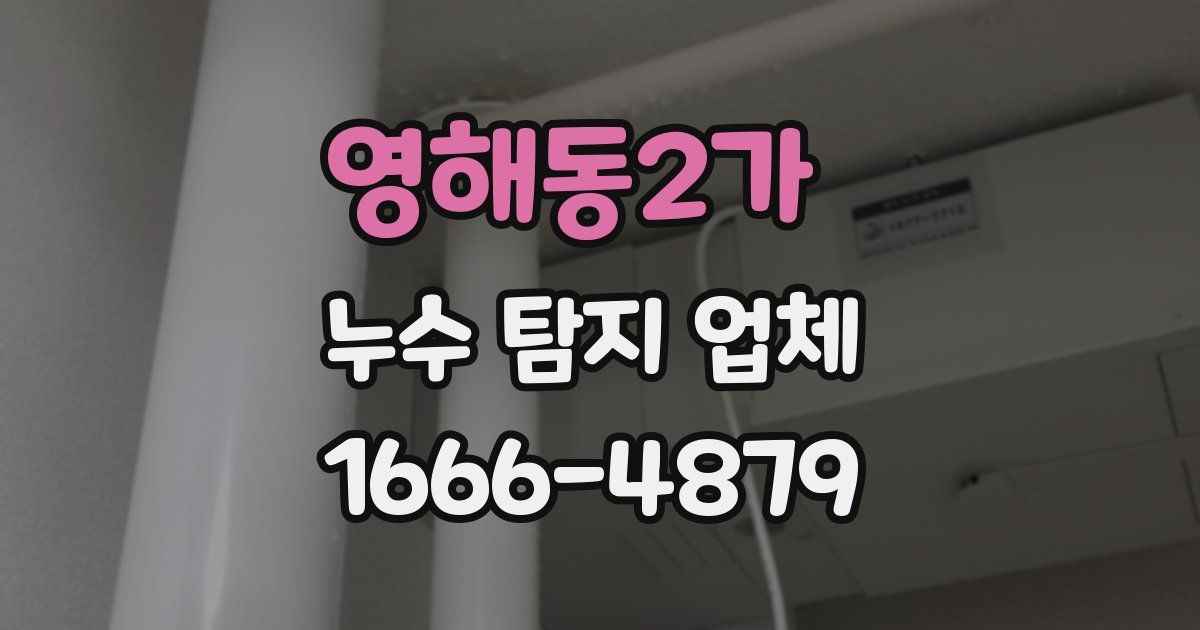 영해동2가 누수 탐지 업체