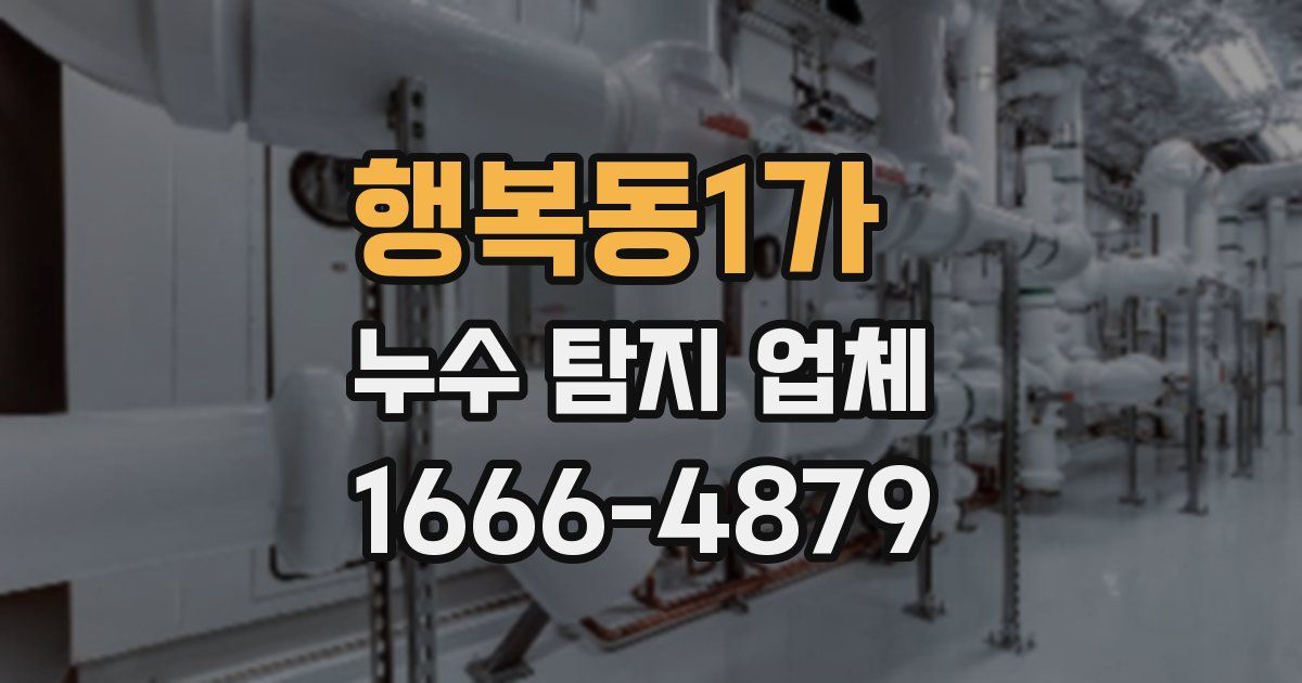 행복동1가 누수 탐지 업체