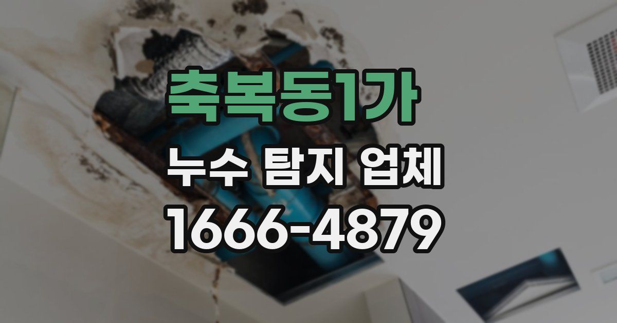 축복동1가 누수 탐지 업체