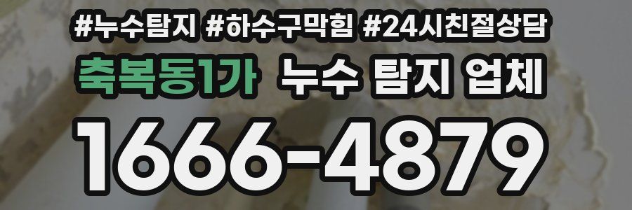 축복동1가 누수 탐지 업체