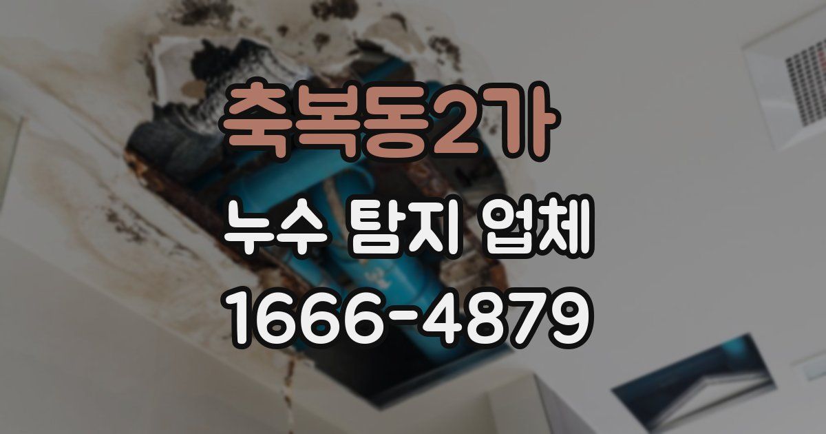 축복동2가 누수 탐지 업체