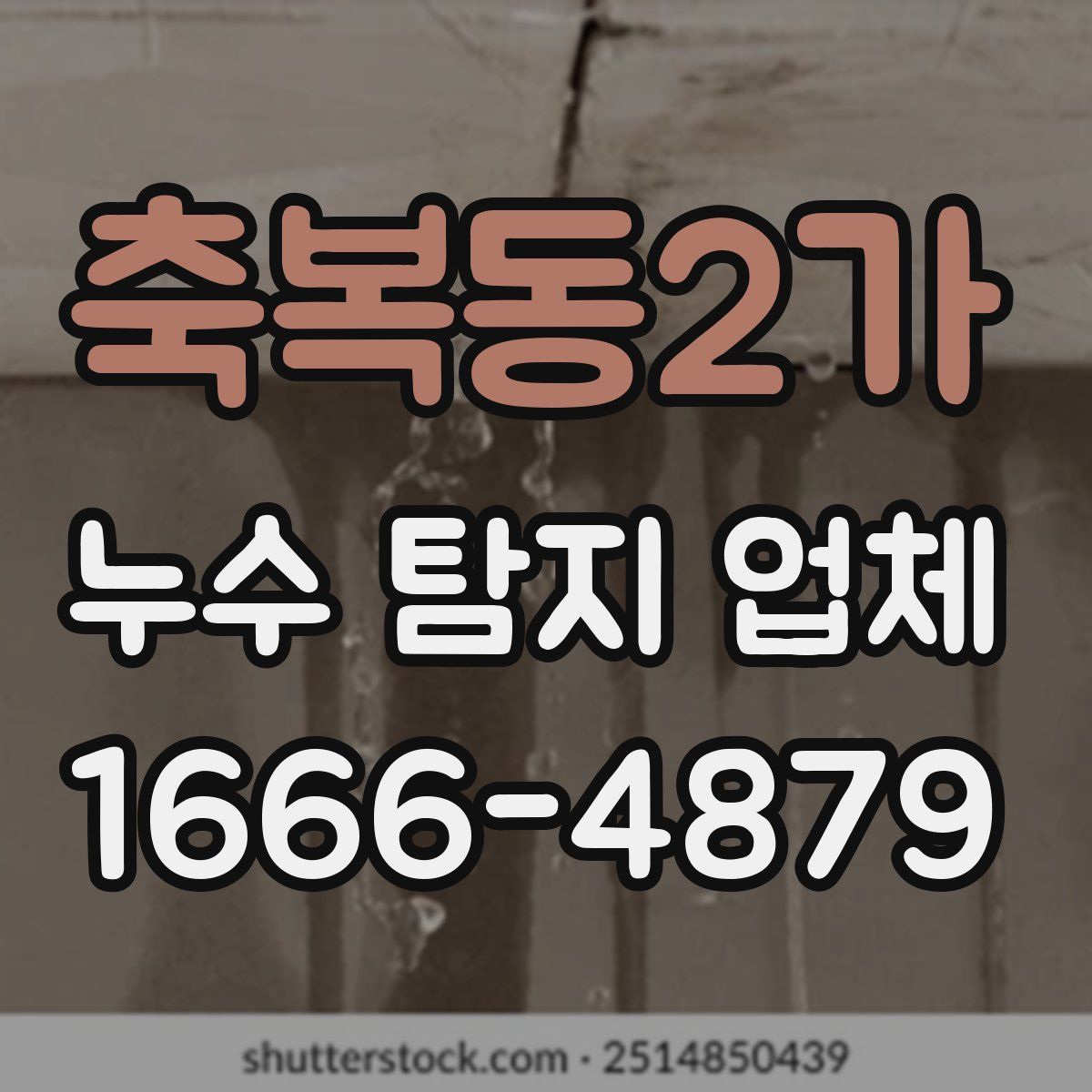축복동2가 누수 탐지 업체