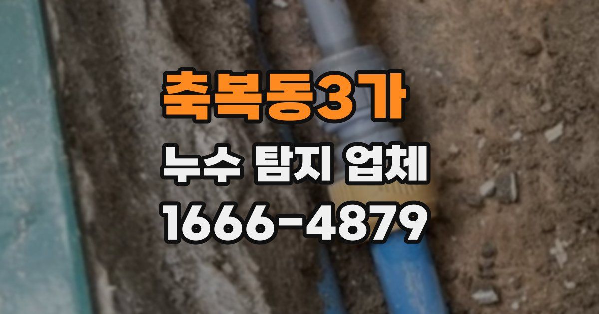 축복동3가 누수 탐지 업체