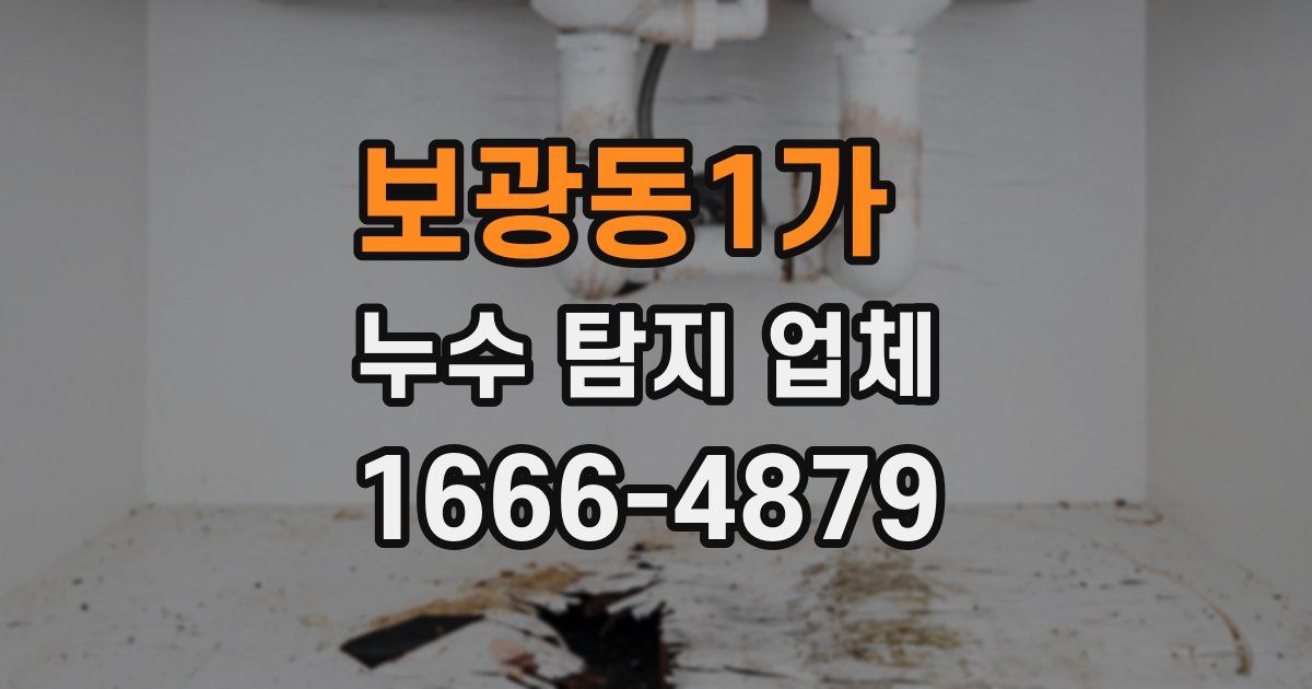 보광동1가 누수 탐지 업체
