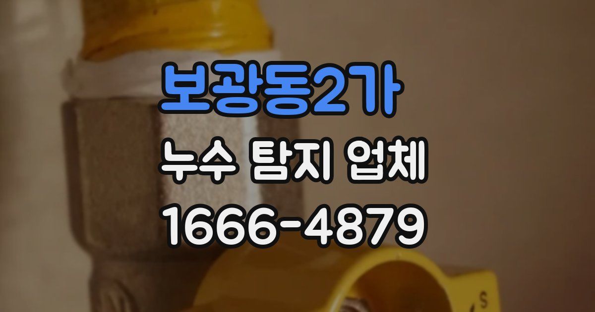 보광동2가 누수 탐지 업체