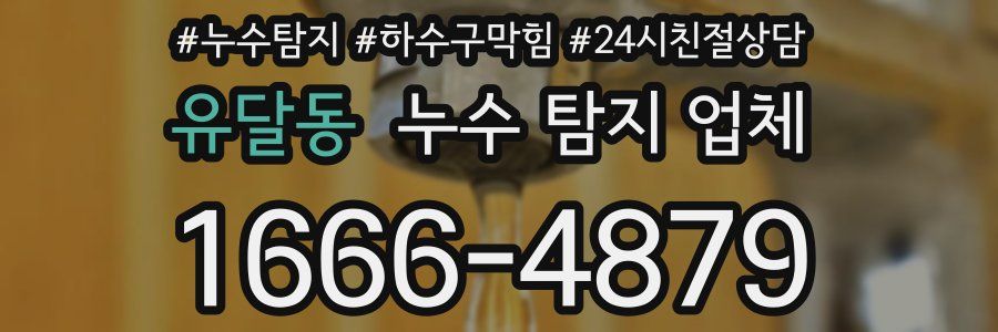 유달동 누수 탐지 업체