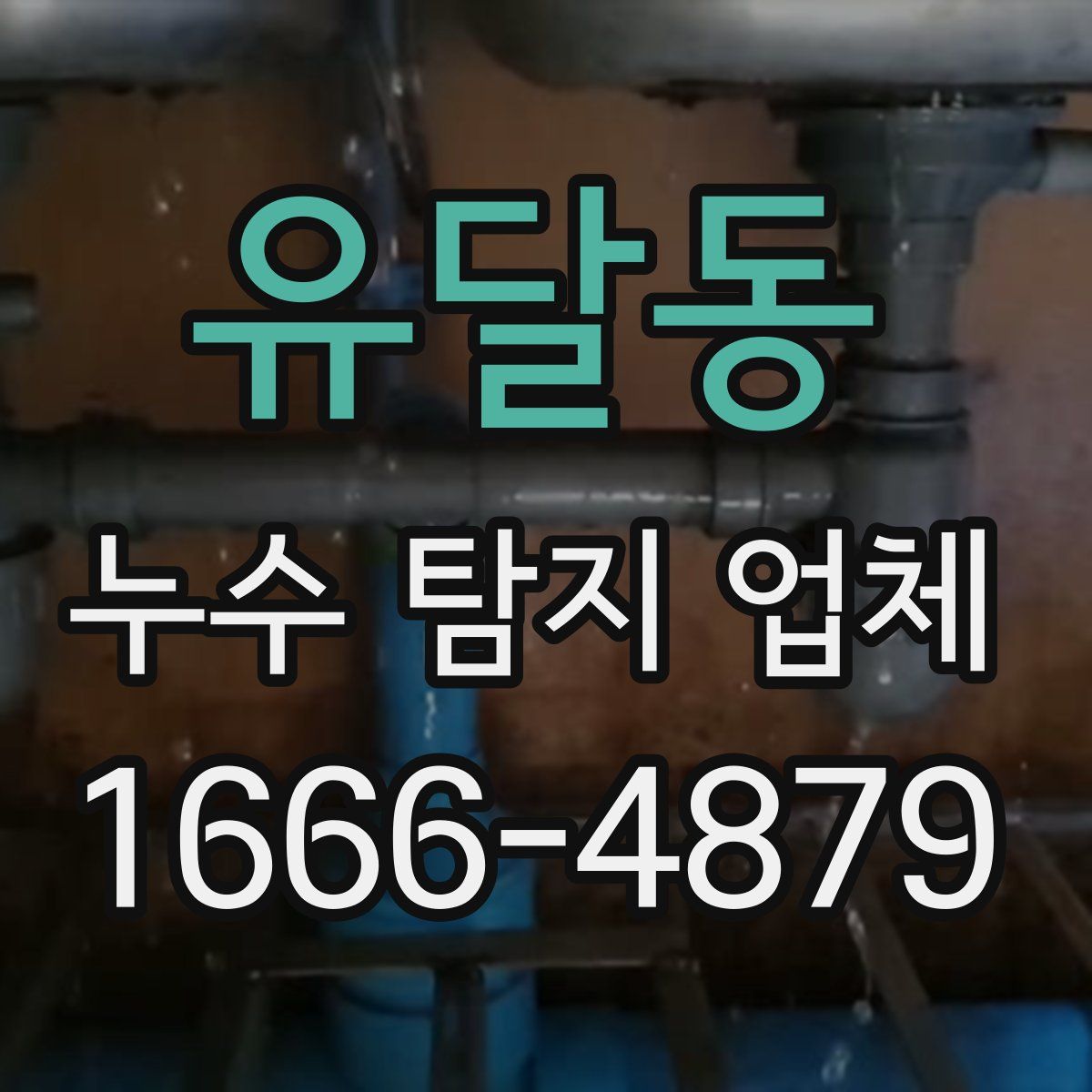 유달동 누수 탐지 업체