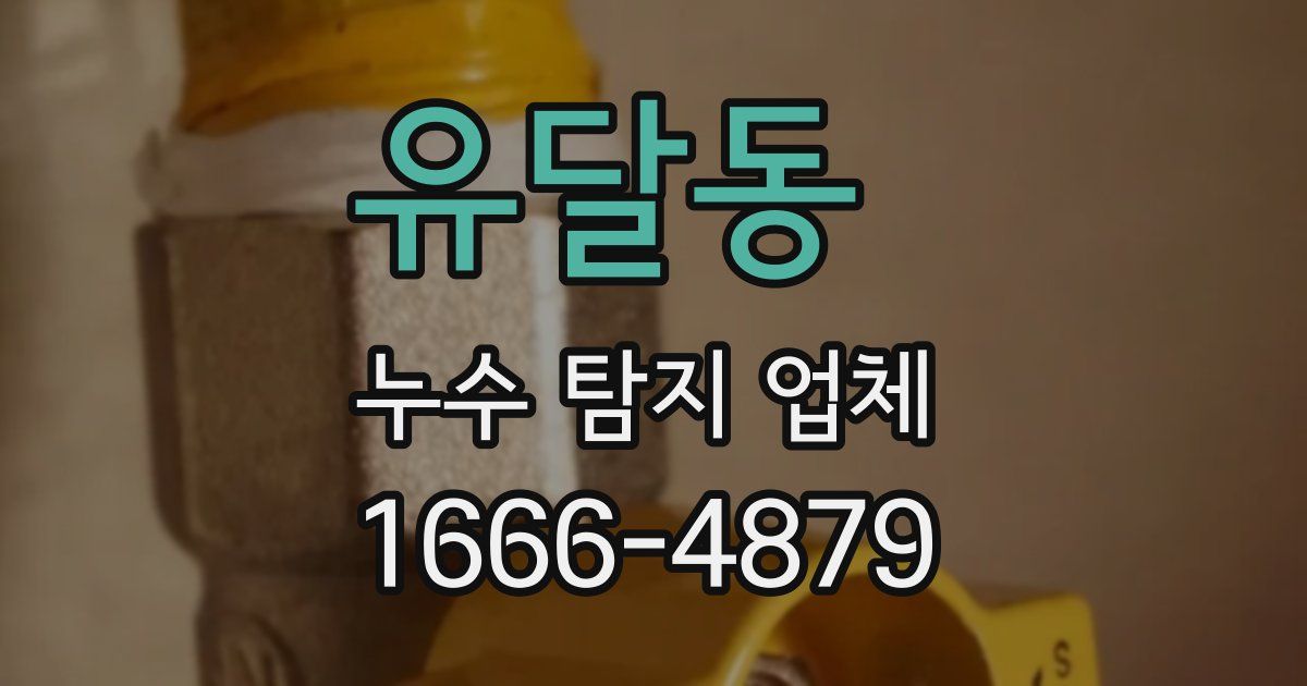 유달동 누수 탐지 업체