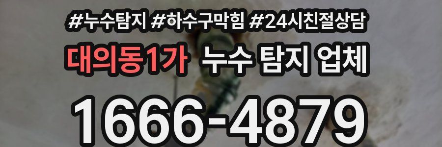 대의동1가 누수 탐지 업체