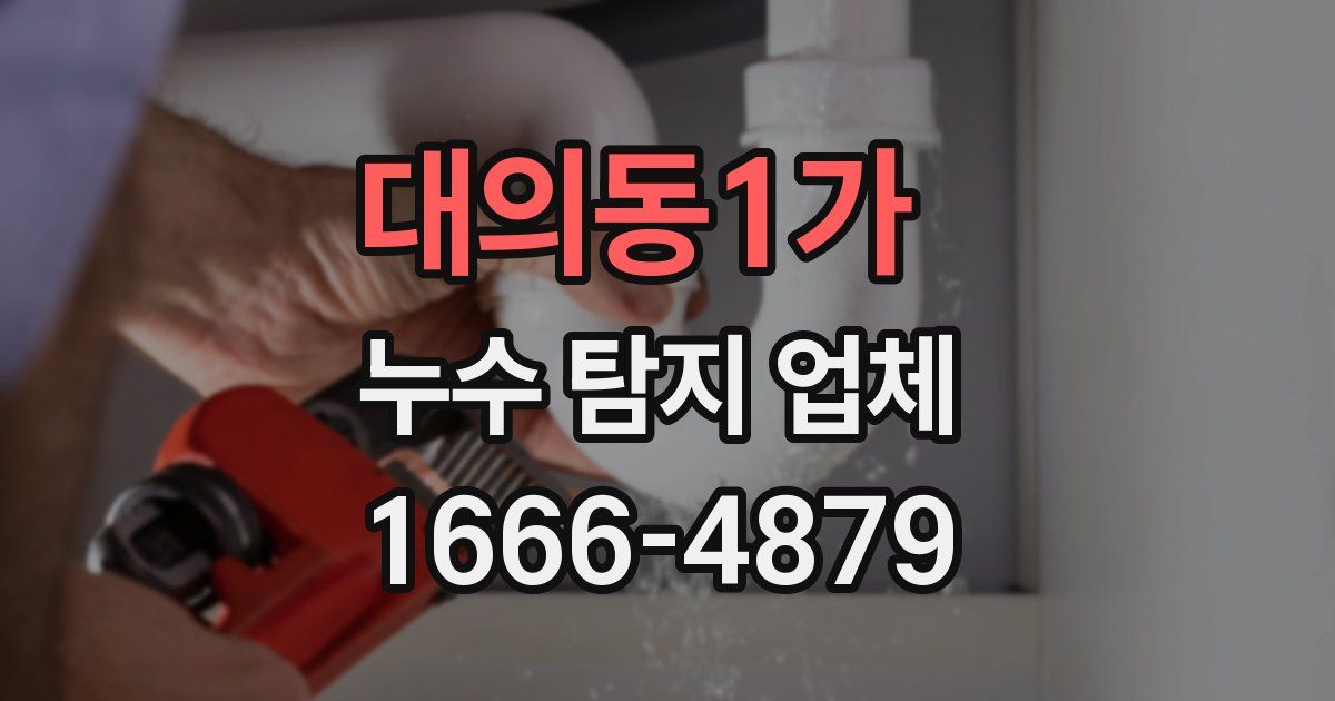 대의동1가 누수 탐지 업체