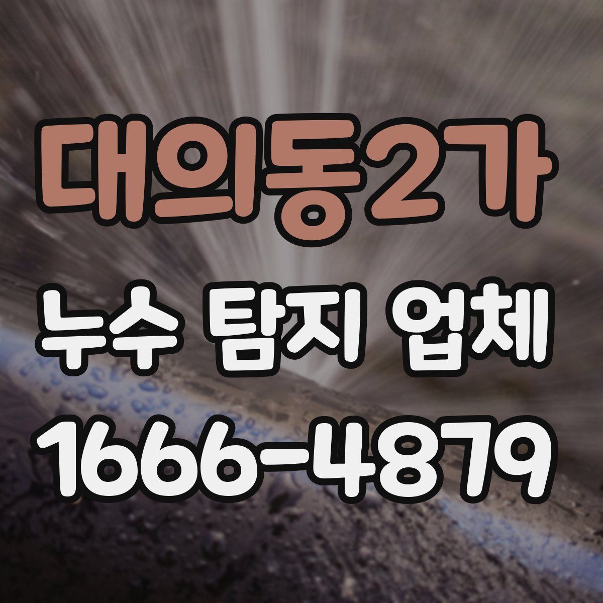 대의동2가 누수 탐지 업체