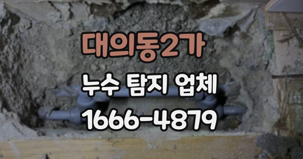 대의동2가 누수 탐지 업체
