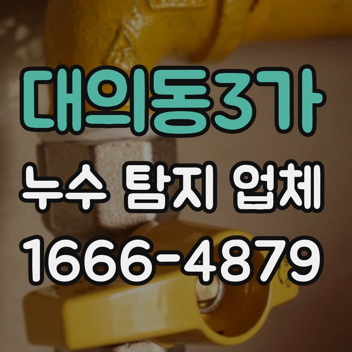 대의동3가 누수 탐지 업체