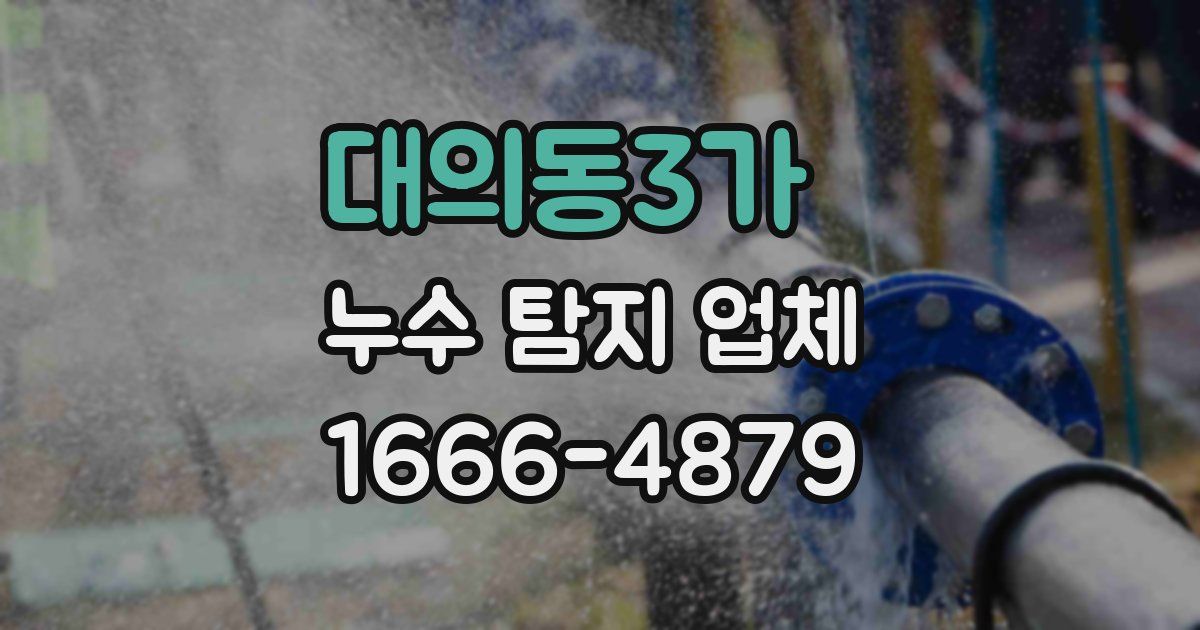 대의동3가 누수 탐지 업체