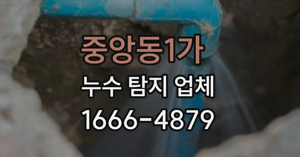 중앙동1가 누수 탐지 업체