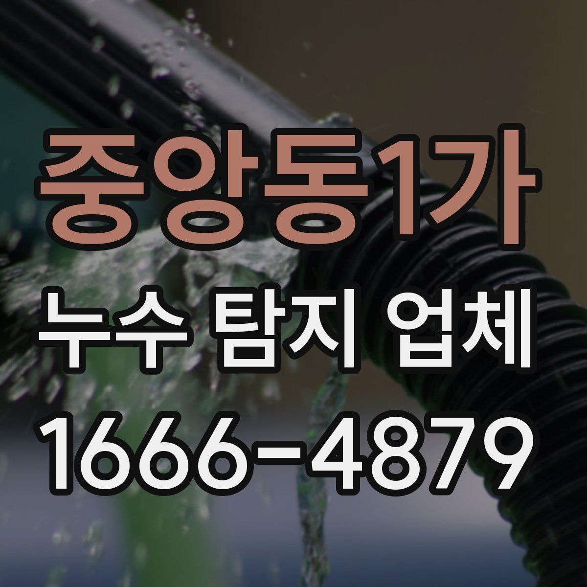 중앙동1가 누수 탐지 업체