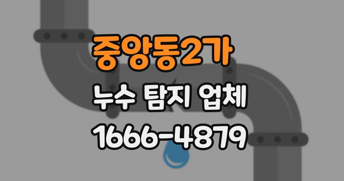 중앙동2가 누수 탐지 업체