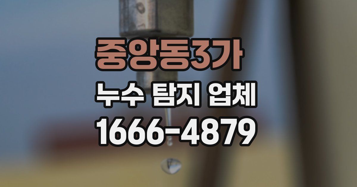 중앙동3가 누수 탐지 업체