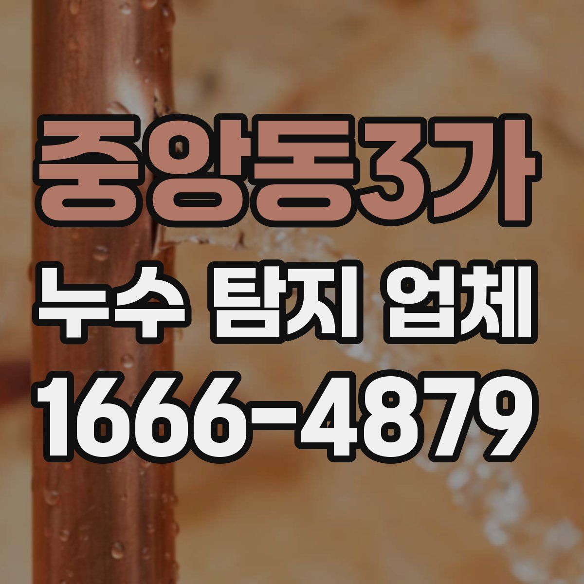 중앙동3가 누수 탐지 업체