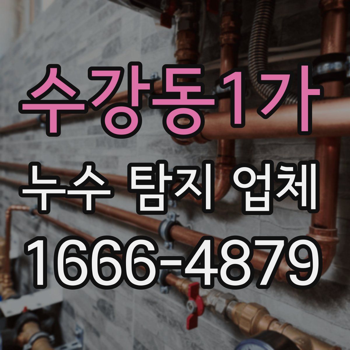 수강동1가 누수 탐지 업체