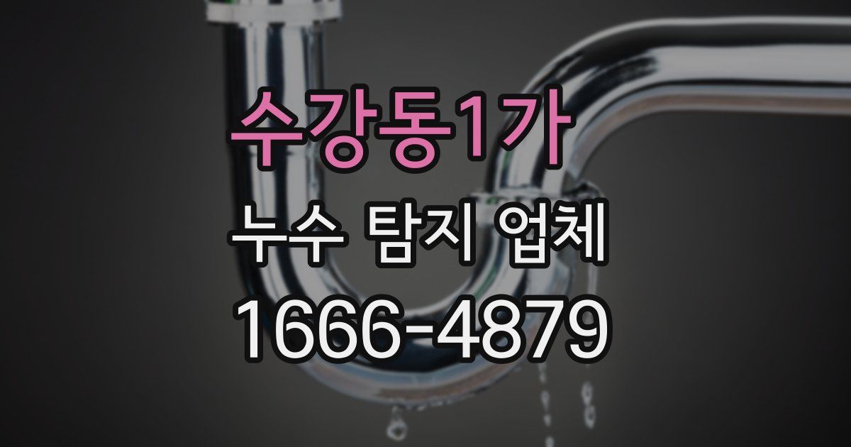 수강동1가 누수 탐지 업체