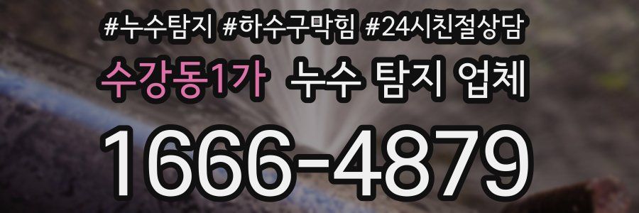 수강동1가 누수 탐지 업체