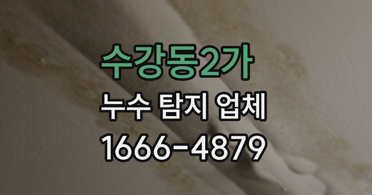 수강동2가 누수 탐지 업체
