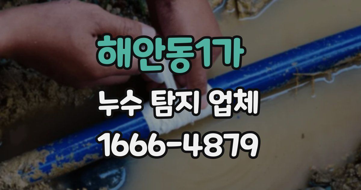 해안동1가 누수 탐지 업체