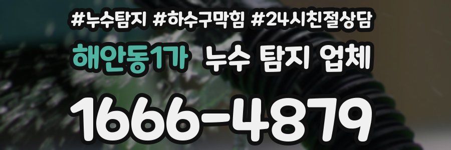해안동1가 누수 탐지 업체