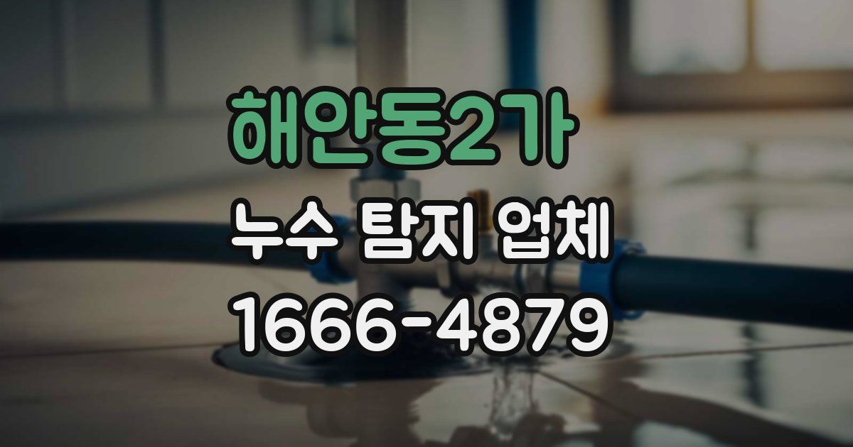 해안동2가 누수 탐지 업체