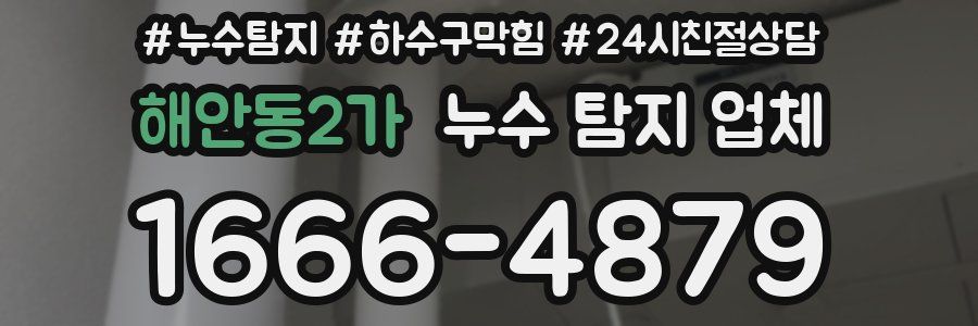 해안동2가 누수 탐지 업체