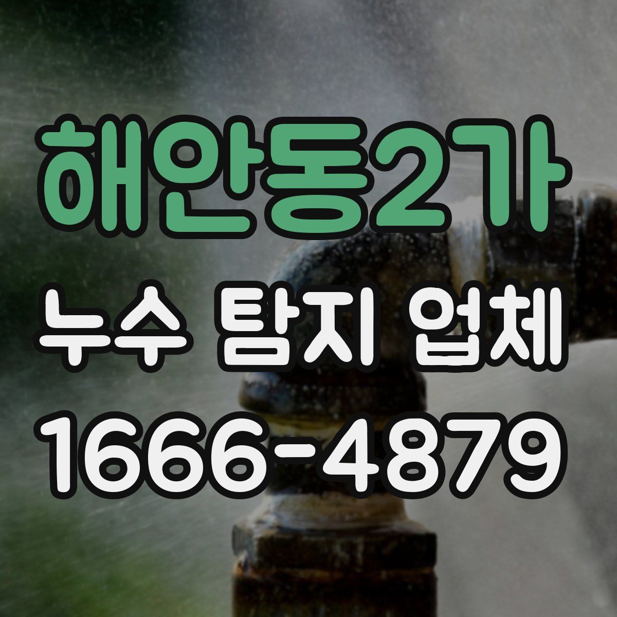 해안동2가 누수 탐지 업체