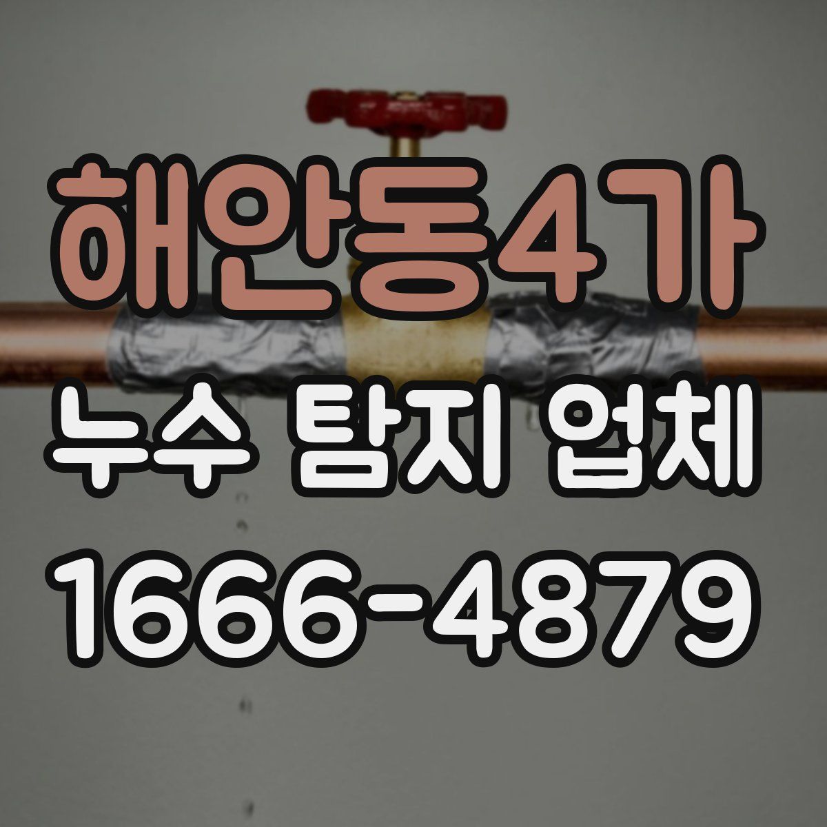 해안동4가 누수 탐지 업체