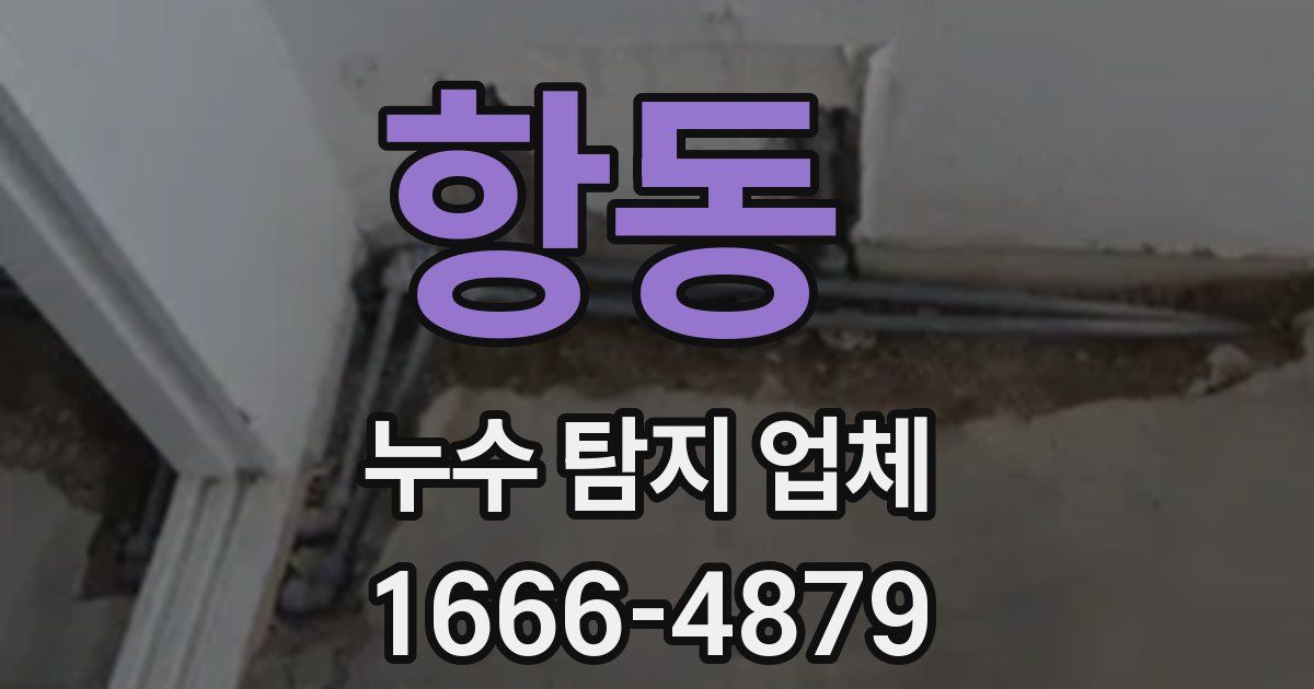 항동 누수 탐지 업체