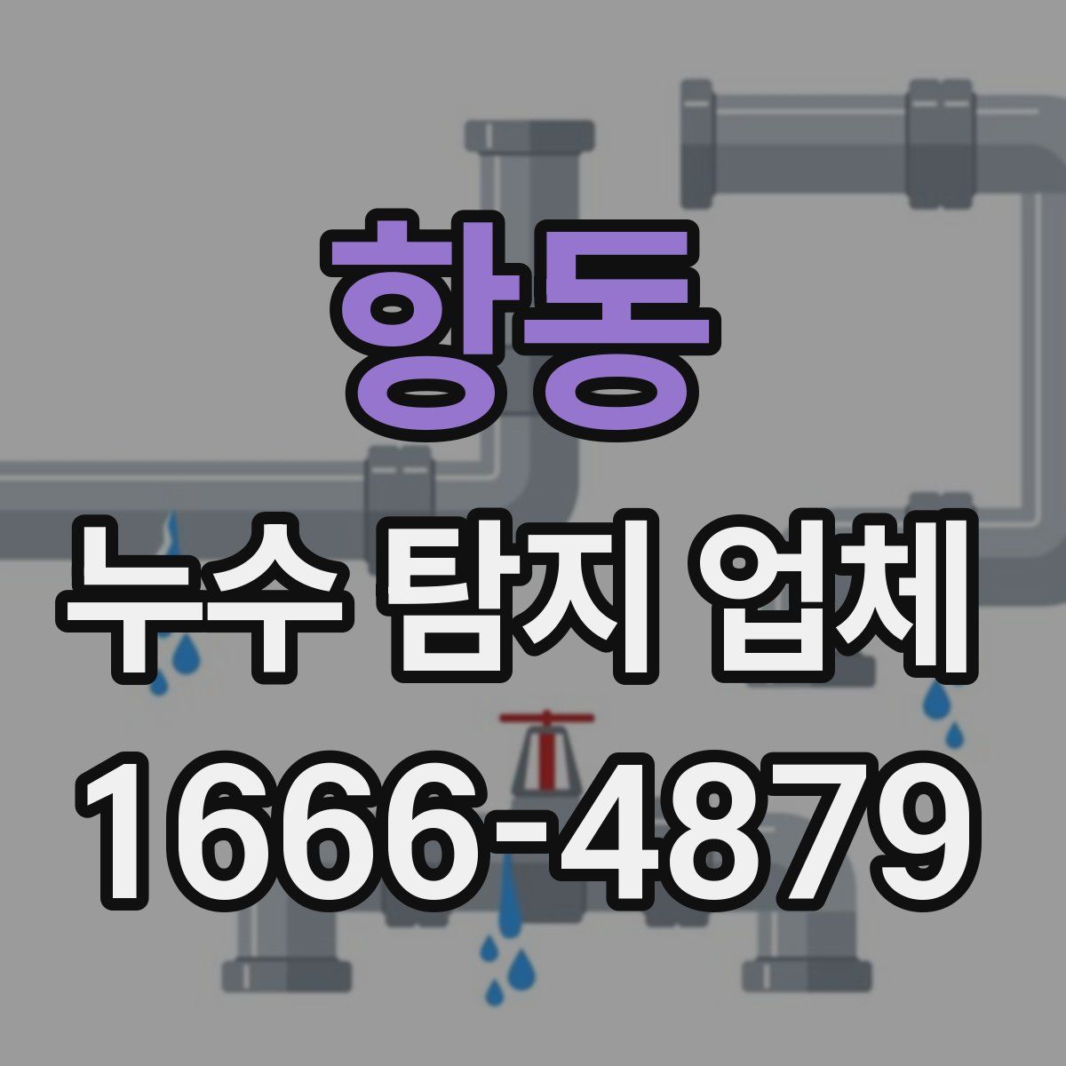 항동 누수 탐지 업체