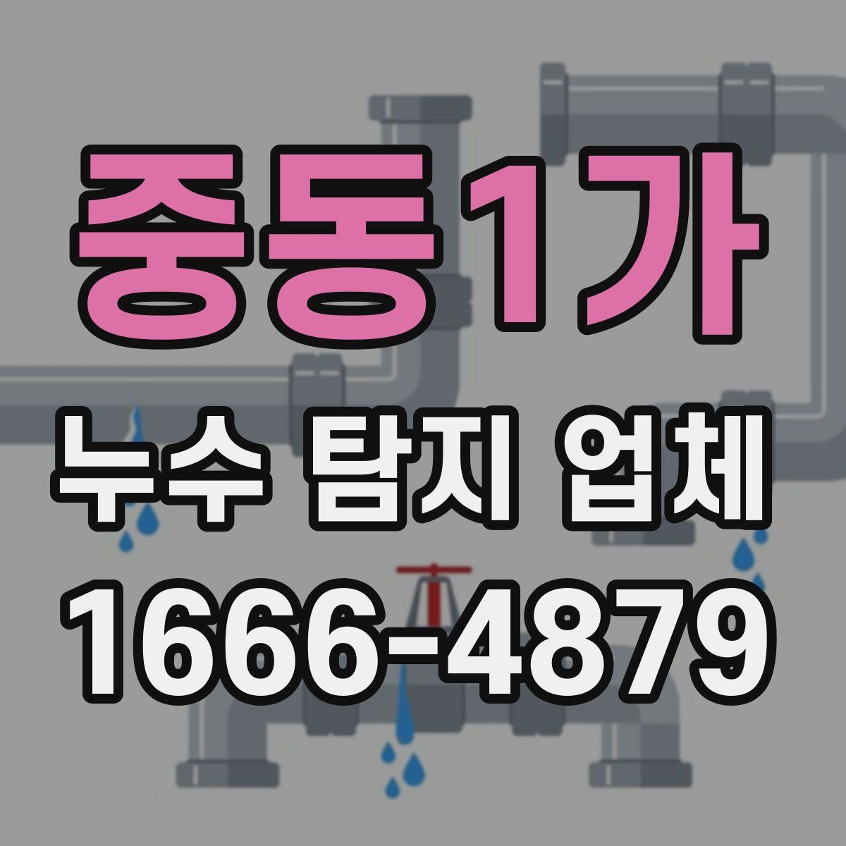 중동1가 누수 탐지 업체